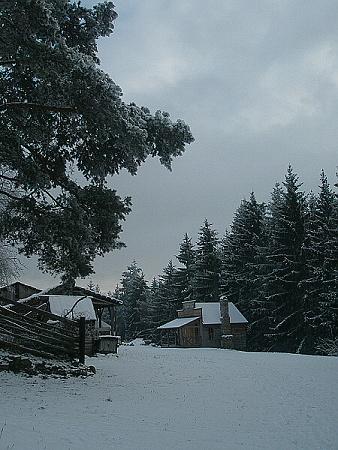 PC310012