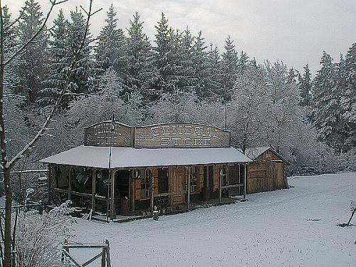 PF2008