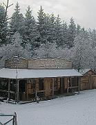 PF2008